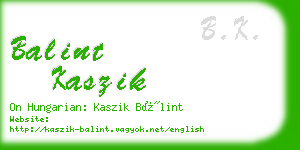 balint kaszik business card